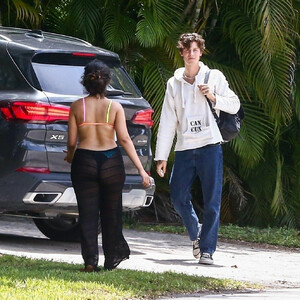 Free nude Celebrity Camila Cabello 029 pic