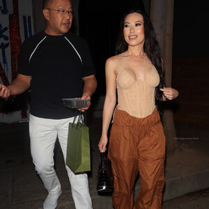 Christine Chiu Arrives in Style For Dinner (32 Photos) - Leaked Nudes