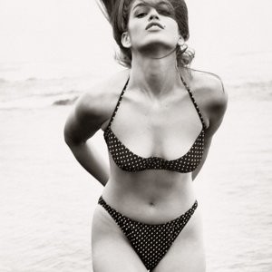 Celeb Nude Cindy Crawford 003 pic