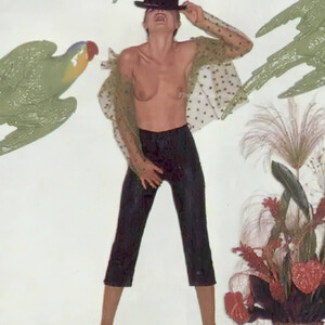 Celebrity Naked Denise Crosby 005 pic