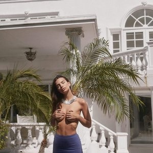 Emily Ratajkowski Sexy & Topless (24 Photos) – Leaked Nudes