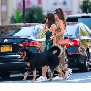 Emily Ratajkowski Walks with her Dog in NYC (45 Photos) - Leaked Nudes