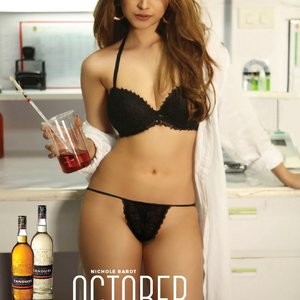 Celeb Nude Calendars 011 pic
