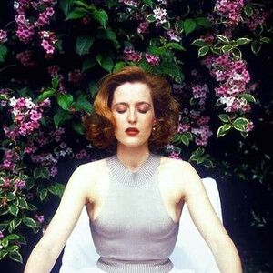 celeb nude Gillian Anderson 070 pic