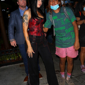 Leaked Celebrity Pic Halsey 015 pic
