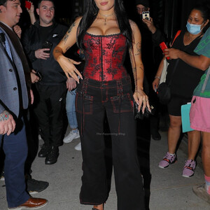 Naked Celebrity Pic Halsey 035 pic