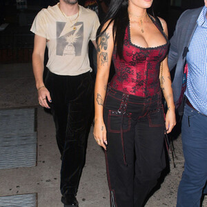 Naked Celebrity Pic Halsey 051 pic