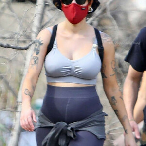 Halsey Flashes Her Baby Bump on a Hike (40 Photos) – Leaked Nudes