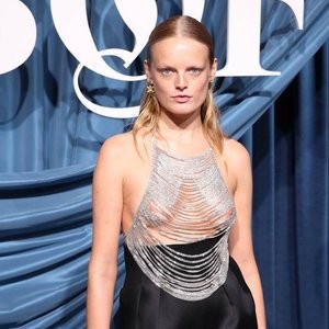 Leaked Celebrity Pic Hanne Gaby Odiele 011 pic