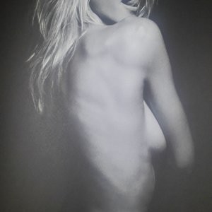 Nude Celeb Heidi Klum 021 pic