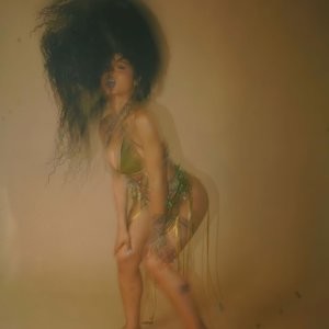 Naked Celebrity India Westbrooks 008 pic