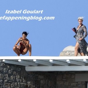 Free Nude Celeb Izabel Goulart 047 pic
