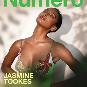 Celebrity Nude Pic Jasmine Tookes 002 pic