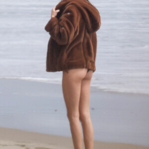 Nude Celebrity Picture Kendall Jenner 068 pic