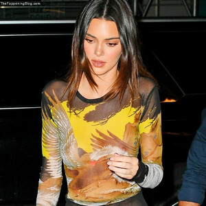 Nude Celeb Kendall Jenner 036 pic