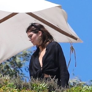 Free Nude Celeb Kendall Jenner 011 pic