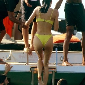 Naked Celebrity Pic Kendall Jenner 010 pic