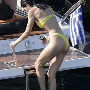 Naked Celebrity Pic Kendall Jenner 078 pic