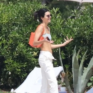Best Celebrity Nude Kendall Jenner 148 pic