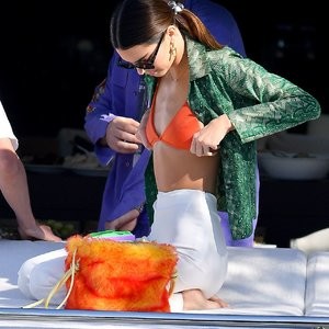 Naked Celebrity Pic Kendall Jenner 042 pic