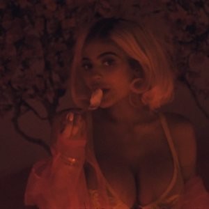 Kylie Jenner Sexy (21 Pics + Video & Gifs) – Leaked Nudes