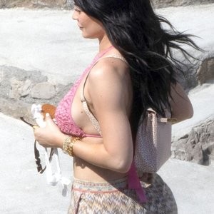 Nude Celeb Pic Kylie Jenner 009 pic