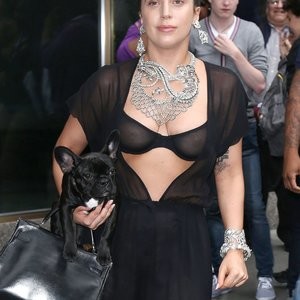 Naked Celebrity Lady Gaga 005 pic