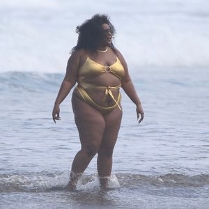 Free nude Celebrity Lizzo 015 pic