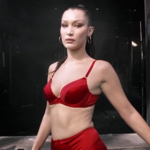 Nude Celebrity Picture Bella Hadid 063 pic
