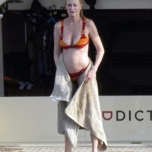 Real Celebrity Nude Melanie Griffith 005 pic