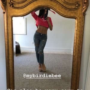 Nikki Bella Underboob (2 Photos + Video) – Leaked Nudes