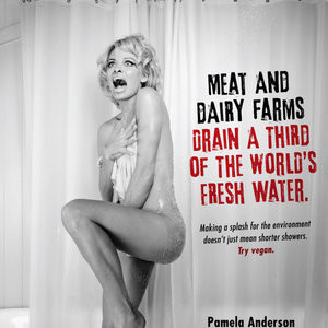 Pamela Anderson Naked (1 Photo) – Leaked Nudes