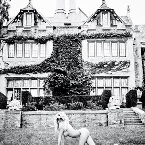 Naked Celebrity Pic Pamela Anderson 014 pic