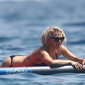 Celeb Nude Pamela Anderson 018 pic