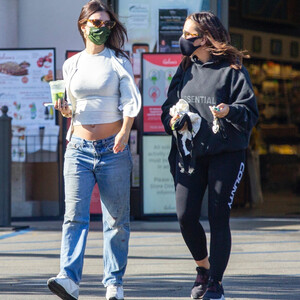 Pregnant Emily Ratajkowski Bares Her Growing Tits and Belly in LA (71 Photos) - Leaked Nudes