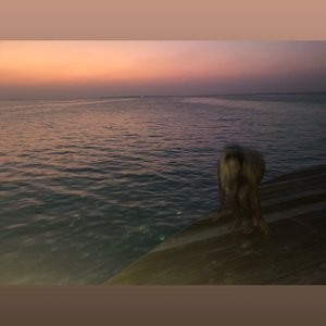 Rita Ora Nude (5 Photos) - Leaked Nudes
