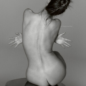 Nude Celeb Pic Rosie Huntington-Whiteley 007 pic