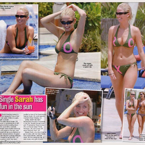Celebrity Leaked Nude Photo Sarah Harding 005 pic