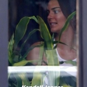 Celeb Naked Kendall Jenner 002 pic