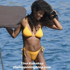 Free nude Celebrity Tina Kunakey 023 pic