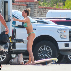 Nude Celeb Pic Shailene Woodley 002 pic