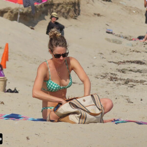 Best Celebrity Nude Shailene Woodley 034 pic
