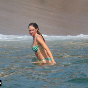 Naked Celebrity Pic Shailene Woodley 047 pic