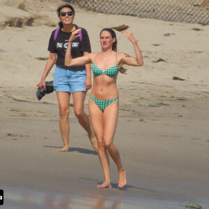 Best Celebrity Nude Shailene Woodley 053 pic