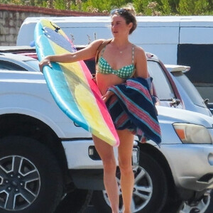 Naked Celebrity Pic Shailene Woodley 100 pic