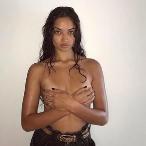 Nude Celebrity Picture Shanina Shaik 026 pic