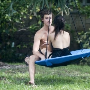 Shawn Mendes & Camila Cabello Are Having a Romantic Time on a Swing (26 Photos) - Leaked Nudes