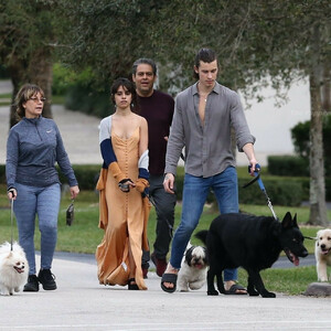 Shawn Mendes & Camila Cabello Keep a Tight Hold on Their Dogs During a Walk (27 Photos) – Leaked Nudes