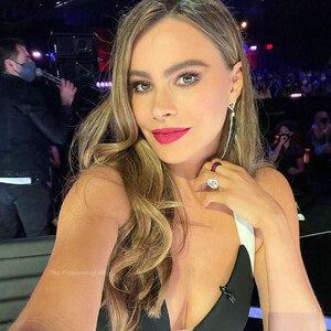 Free Nude Celeb Sofia Vergara 114 pic