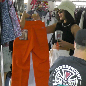 Celebrity Leaked Nude Photo Vanessa Hudgens 016 pic